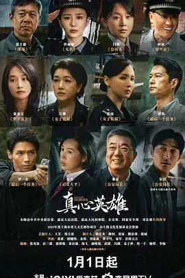 【国产剧】真心英雄