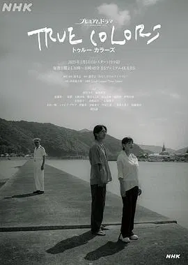 【日本剧】本色2025